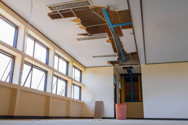 Best Water damage cleanup near me  in Connerton, FL