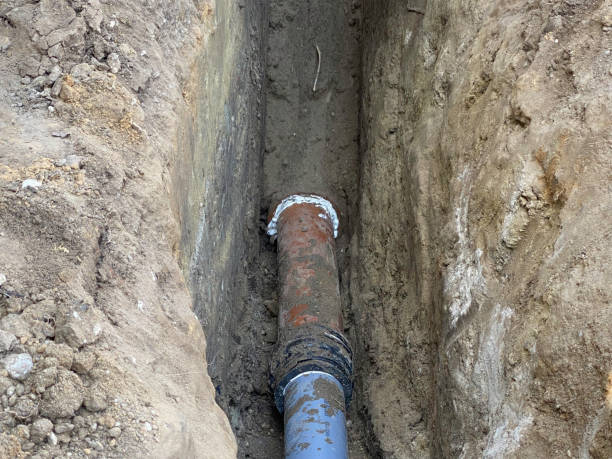 Best Emergency water extraction  in Connerton, FL