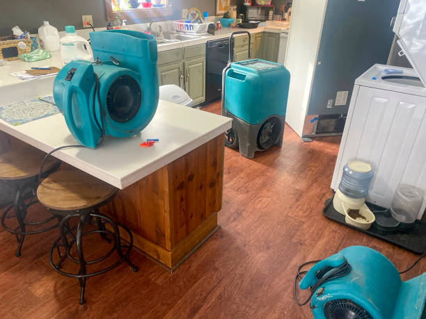 Best 24-hour water damage restoration  in Connerton, FL