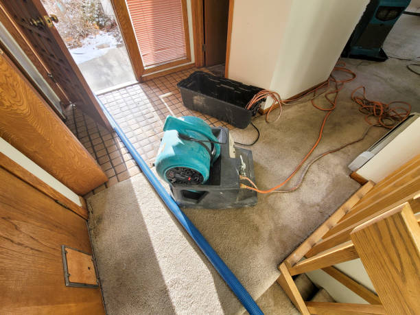 Best Water damage contractors near me  in Connerton, FL