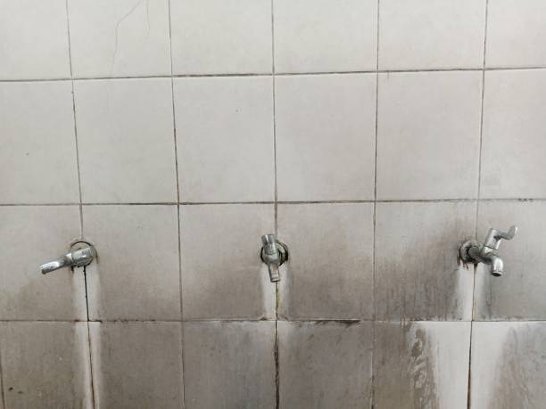 Best 24-hour water damage restoration  in Connerton, FL