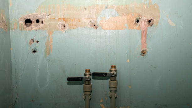 Best Flooded house restoration  in Connerton, FL